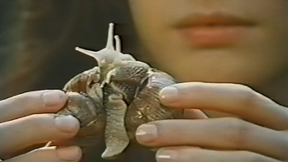 Au rendezvous de la mort joyeuse Trieste Science+Fiction Festival