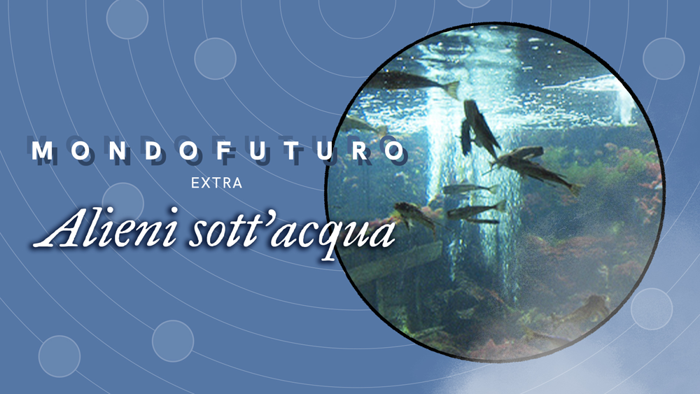 MONDOFUTURO alla scoperta del mondo sommerso: Alieni sott’acqua, con Chiara Gili della Stazione Zoologica Anton Dohrn di Napoli.