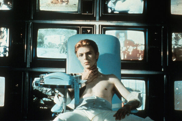 The Man Who Fell to Earth