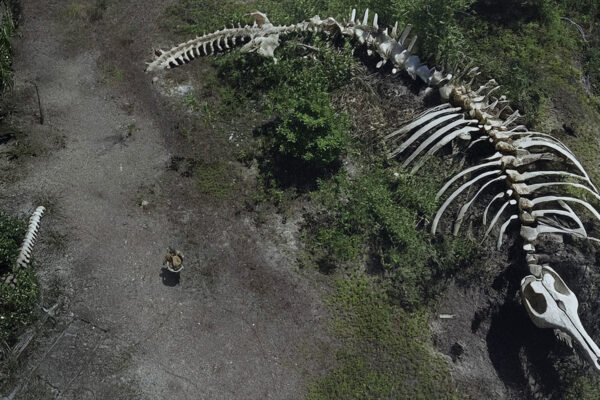 Gwai Lou
Malaysia 2025, 18' 
—
2025 Fantastic Shorts